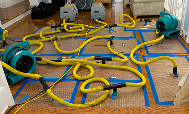 Professional Burst Pipe Water Damage technician working in Holly Pond, AL
