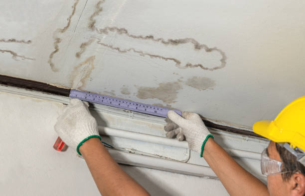 Affordable Water Damage Repair solutions in Holly Pond, AL